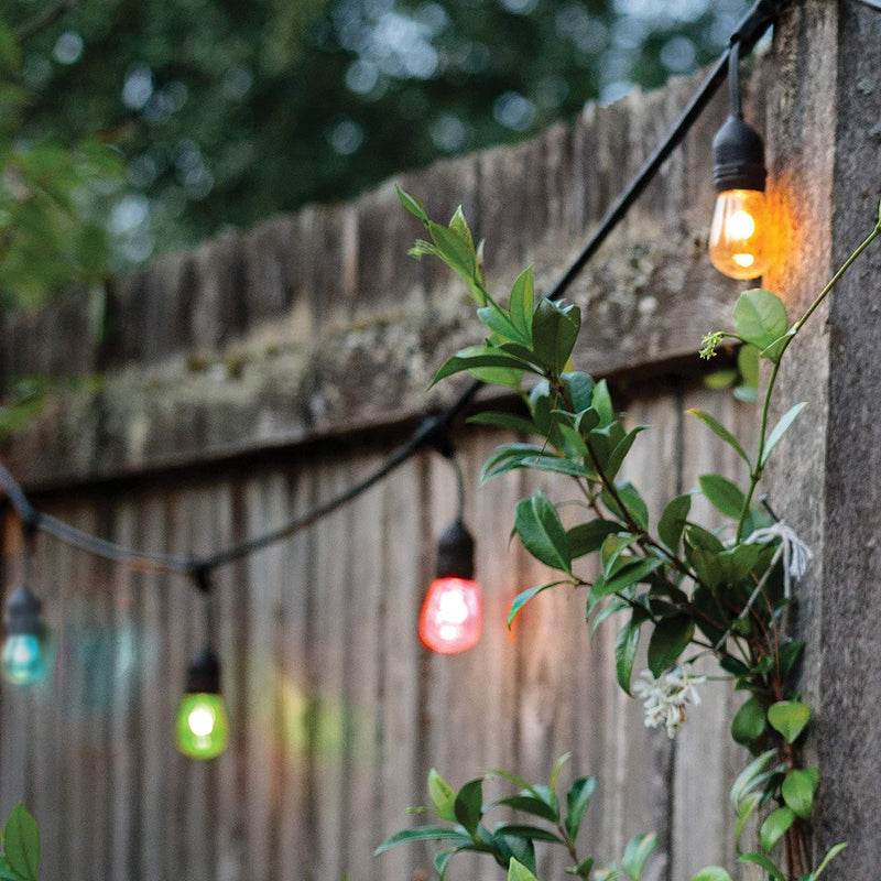 Starfish Smart LED RGBW String Lights